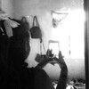 solecito_md